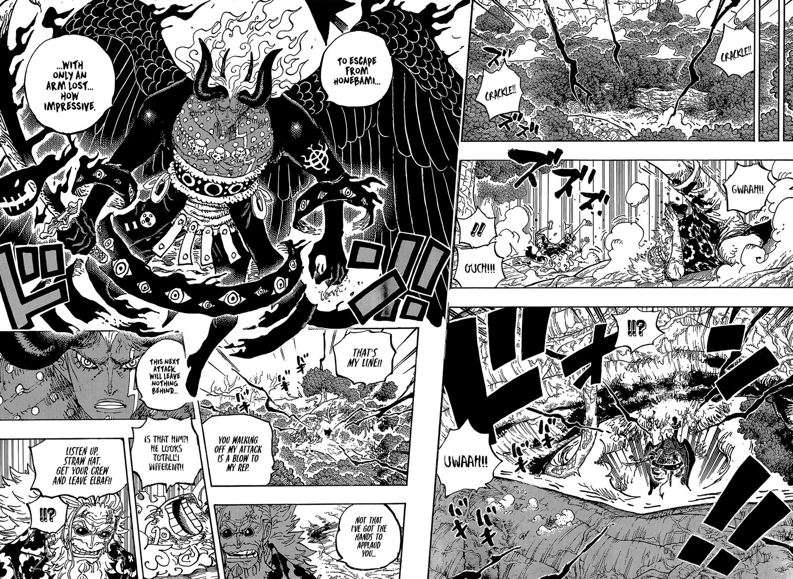 One Piece, Chapter 1191 image 06